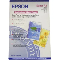 Epson S041457 Professional Glossy Paper