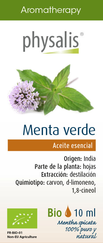 Physalis Green Mint essence 10 ml
