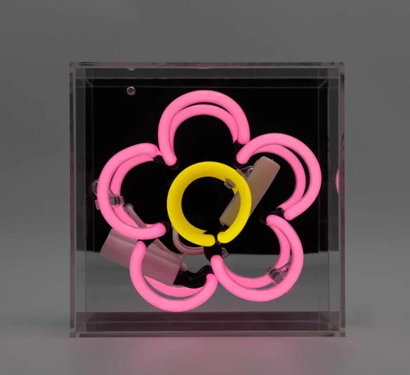 Locomocean Daisy Mini Glas Neon Licht Multicolour