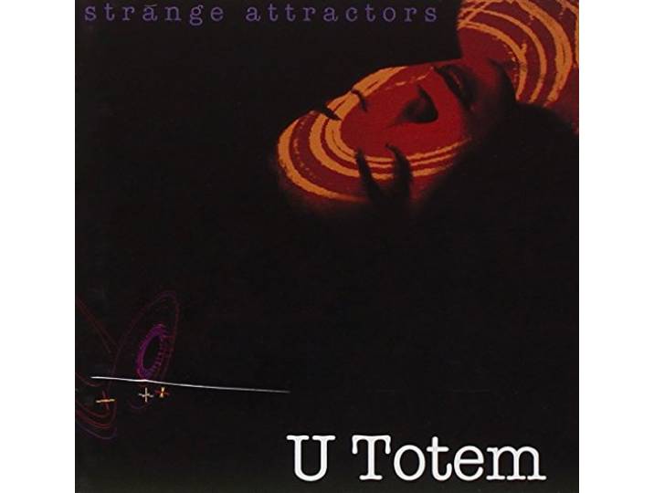Strange Attractor