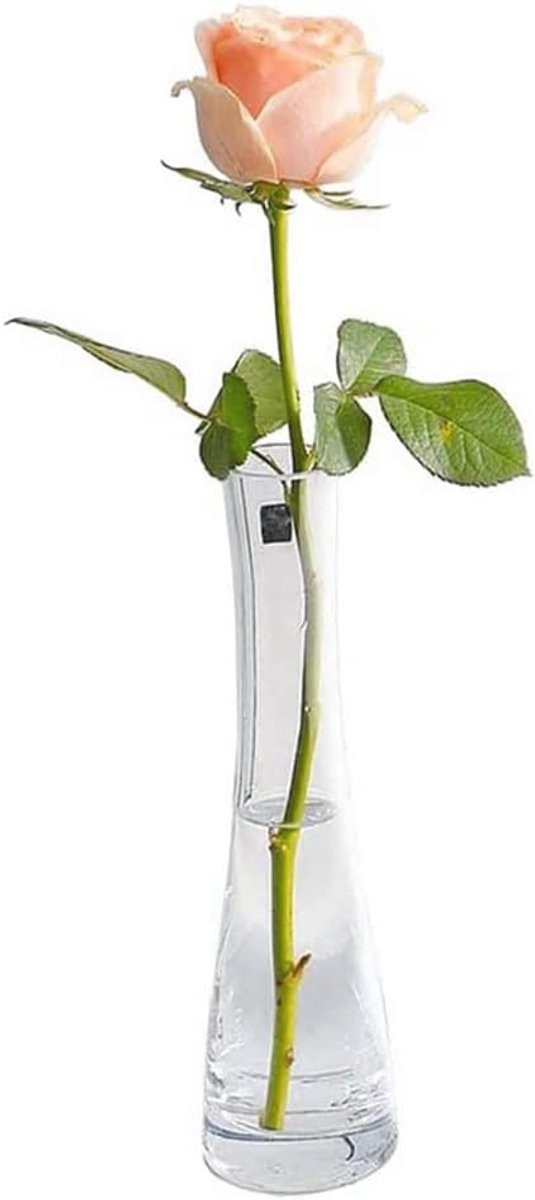 Handgemaakte glazen knop vaas voor bloemen - Decoratie voor thuis en kantoor