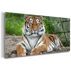 GLASBILD 120x60 cm Sibirisches Tier