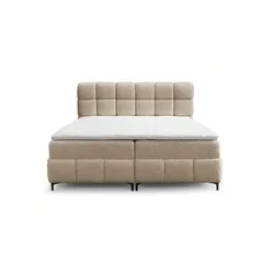 BOXBETT Sophie In Rolf