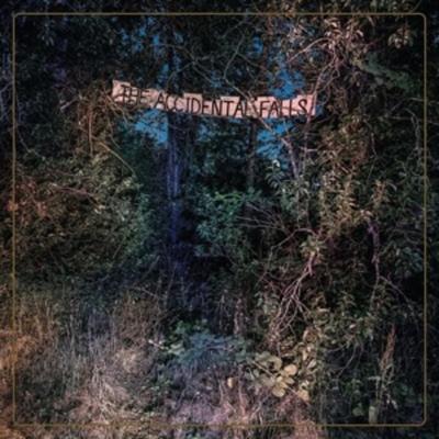 The Accidental Falls - The Eyelids, Vinyl