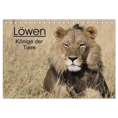 Löwen - Könige der Tiere (Tischkalender 2026 DIN A5 quer), CALVENDO Monatskalender