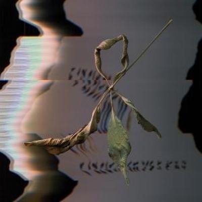 Trill Scan - T. Gowdy, CD