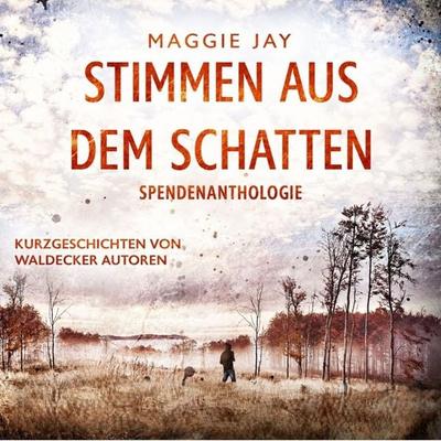 Stimmen aus dem Schatten - Maggie Jay,Marius Teppe,Claudia Rose,Henning Riebeke,Ulrike Schinzel, Audio, 4070169022072