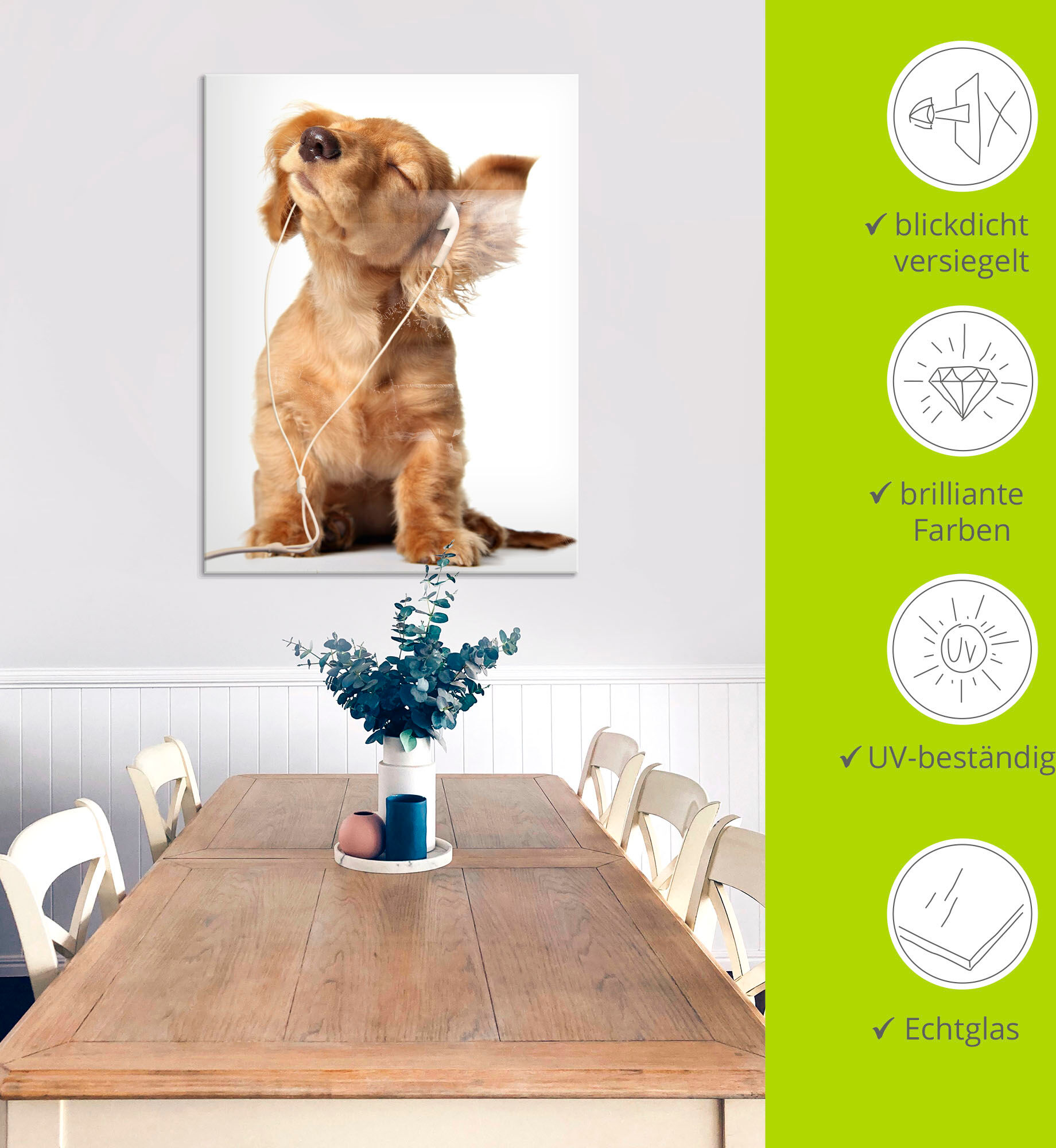 Glasbild ARTLAND "Junger Hund hört Musik über Kopfhörer", weiss (farbe bild(er): weiß), B:50cm H:50cm, Bilder, Glasbild, in verschiedenen Grössen farbe bild(er): weiß B/H/T: 50cm x 50cm, Glasbild Haustiere, 1 Stk.