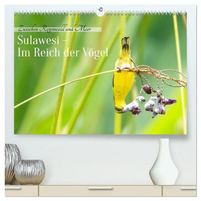 Sulawesi - Im Reich der Vögel (hochwertiger Premium Wandkalender 2027 DIN A2 quer), Kunstdruck in Hochglanz
