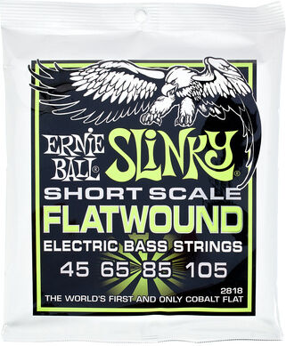 Ernie Ball Flatwound 2818