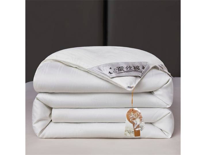 Couette en soie de mûrier avec rembourrage 100 % soie pour toutes les saisons, luxueuse couette respirante et confortable en soie naturelle avec coque en coton