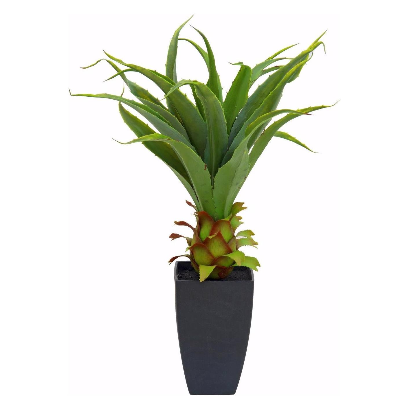 Europalms Agave im Topf (75 cm) (82600160)