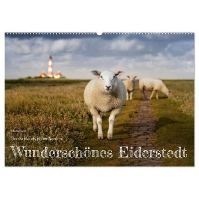 Wunderschönes Eiderstedt (Wandkalender 2027 DIN A2 quer), CALVENDO Monatskalender