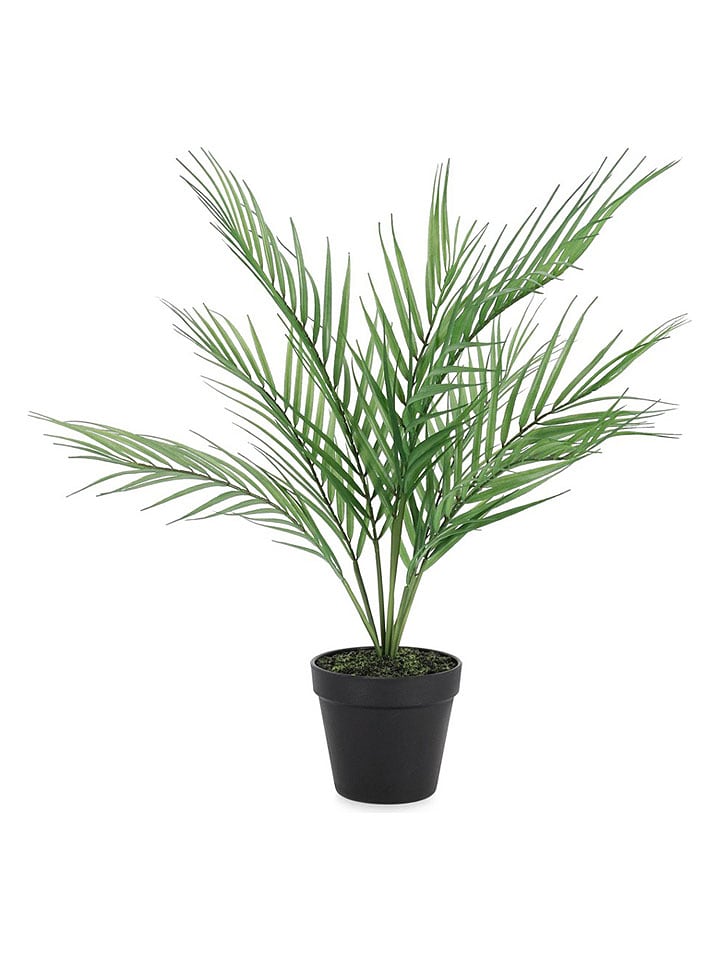Bizzotto Kunstpflanze ''Palm Tree'' in Grün - (L)58 cm - onesize