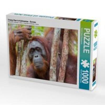 CALVENDO Puzzle Orang Utan in Kalimantan - Borneo | 1000 Teile Lege-Größe 64x48cm Foto-Puzzle für glückliche Stunden