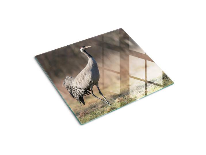 Tulup Glasplatte 60x52 cm Reiher, Beige, Glas, 60x0.4x52 cm, Küchen, Küchenelektrogeräte, Herde, Herdabdeckplatten