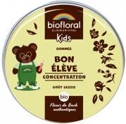 Biofloral Enfants Bon Élève Gommes Bio 45 g - Boîte 45 g (environ 45 gommes)