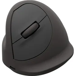 Fellowes Breyta Basic Ergonomische Maus (Kabelgebunden, Kabellos), Maus, Schwarz