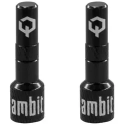AMBIT Tubeless Ventil Adapter Set Realm | schwarz