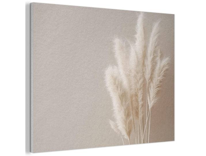 MuchoWow Akustikbild - Pampasgras - Federn - Pastell - Weiß - 70x50, Naturfarben, Kunststoff, Rechteckig, 70x50x0.9 cm, Wandverkleidung, Akustikpaneele