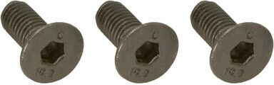 Floyd Rose FRTBMSP Mounting Screws