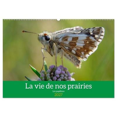 La vie de nos prairie, les papillons (Calendrier mural 2027 DIN A2 vertical), CALVENDO calendrier mensuel