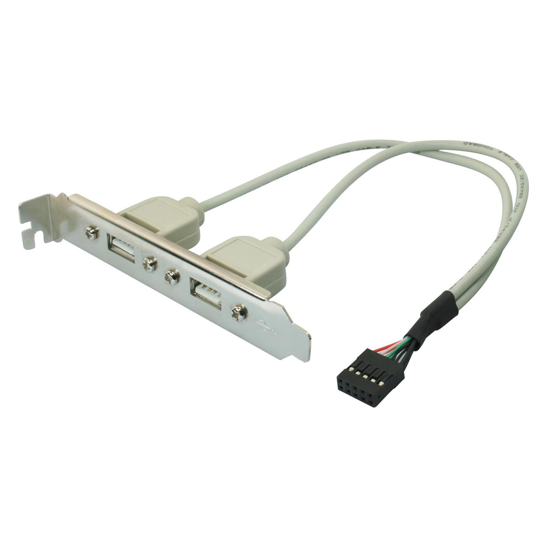 Shiverpeaks S/CONN maximum connectivity USB 2.0 Bracket, 2 x USB A- Buchse auf 10 pol Stecker für Motherboards (10 m, USB 2.0) (75620)