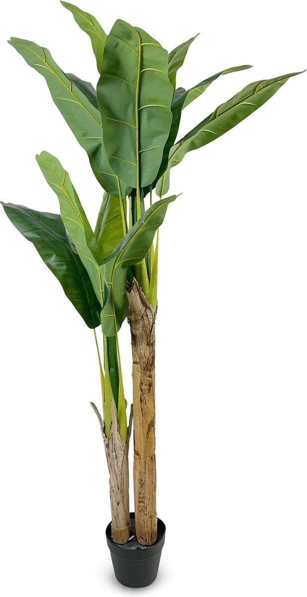 IvoQ Kunst Bananenplant 160 cm - Groene kamerplant in pot