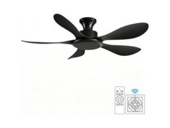 Ventilateur de Plafond sans Lumière 102 cm Rétro 6 Vitesses avec Minuterie Grand Débit dAir