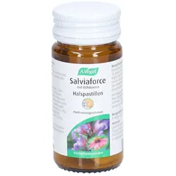 A Vogel Salviaforce Echina