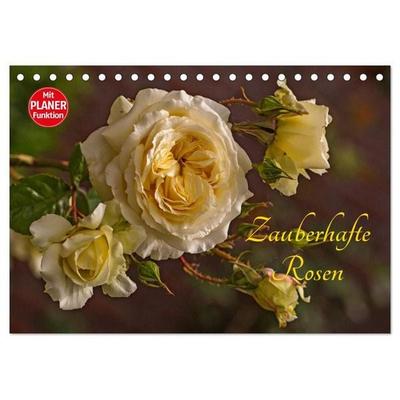 Zauberhafte Rosen (Tischkalender 2027 DIN A5 quer), CALVENDO Monatskalender