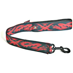 Martin Sellier Dragon (XL, Hund, Spazieren), Halsband + Leine