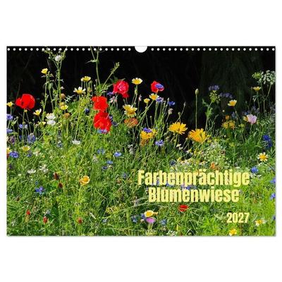 Farbenprächtige Blumenwiese (Wandkalender 2027 DIN A3 quer), CALVENDO Monatskalender