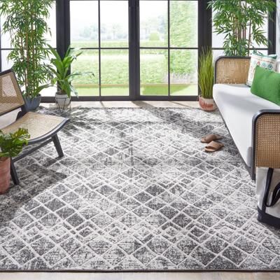 SAFAVIEH Cottage Akgul Transitional Indoor/Outdoor Rug