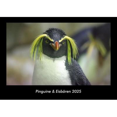 Pinguine & Eisbären 2025 Fotokalender DIN A3