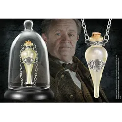 Noble Collection Harry Potter Anhänger mit Kette und Schmuckvitrine Felix Fel