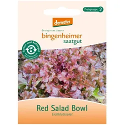 Eichblattsalat - Red Salad Bowl