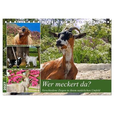 Wer meckert da? (Tischkalender 2027 DIN A5 quer), CALVENDO Monatskalender