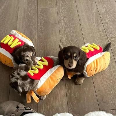 Uplift Essentials Hot Dog Pet Costume Adjustable Plush Cosplay Suit For Small To Medium Dogs & Cats m