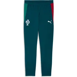 Puma, Herren, Sporthose, FPF Training Pants w/ pockets (M), Türkis, Blau, Rot, Grün