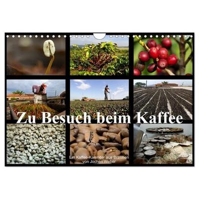 Zu Besuch beim Kaffee (Wandkalender 2026 DIN A4 quer), CALVENDO Monatskalender