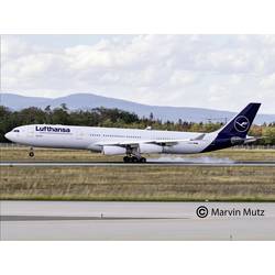 Revell 03803 A340-300 Lufthansa New Livery Flugmodell Bausatz 1:144
