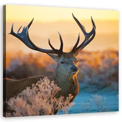 WANDBILD jeleń sonnenaufgang