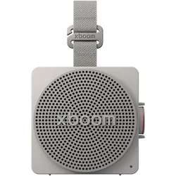 LG xboom Mini by will.i.am (10 h), Bluetooth Lautsprecher, Grau