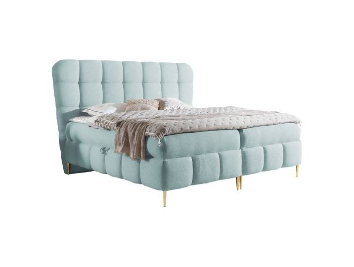 BOXBETT Lolly - H3
