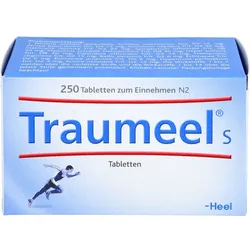 Traumeel S 250 ST