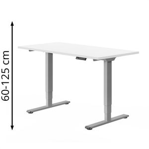 FlexiSpot Schreibtisch E5S, weiß / grau, elektrisch höhenverstellbar, 140 x 60-125 x 80 cm
