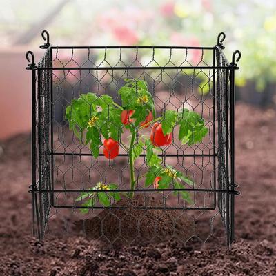 Animal Protector Metal Plant Cage Garden Defense Animal Protector Metal Plant Cage Garden Defense