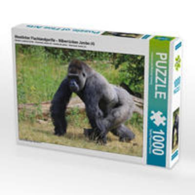 CALVENDO Puzzle Westlicher Flachlandgorilla - Silberrücken Jambo (4) | 1000 Teile Lege-Größe 64x48cm Foto-Puzzle für glückliche Stunden