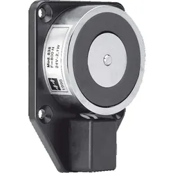 Assa Abloy effeff Magnet 830 A 500N 830-5A------F90